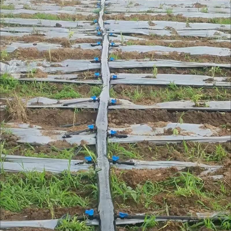 Flat PE Water Pipe
