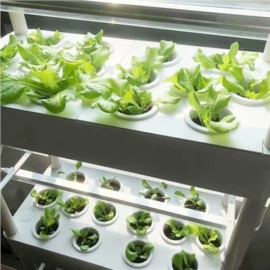 4-lags hydroponisk hagesett med LED-lys