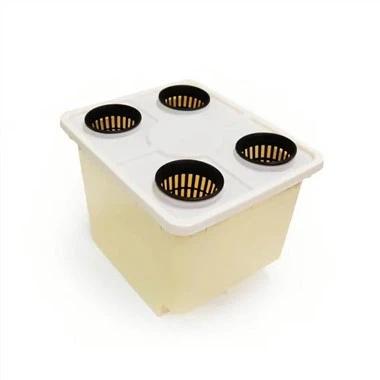 Dutch Bucket Hydroponic System