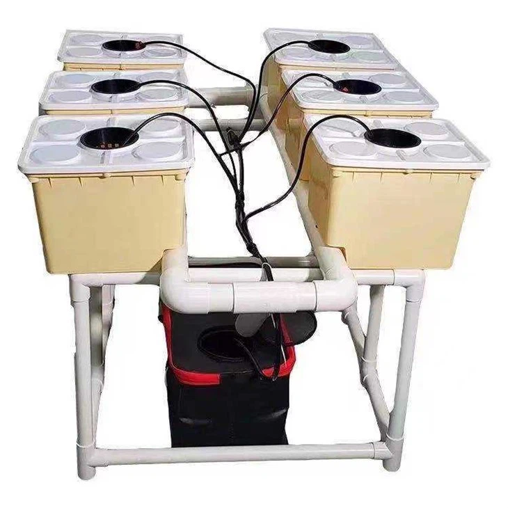 Dutch Bucket Plants Hydroponic Dutch Buckets Dutch Bucket Hydroponic System