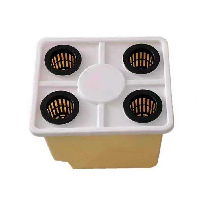 Dutch Bucket Plants Hydroponic Dutch Buckets Dutch Bucket Hydroponic System