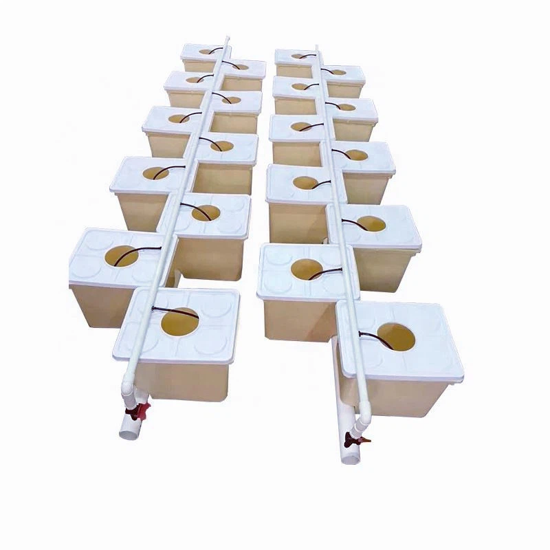 Ha779b40ad9d344939aabf5e51cfedccff Ha779b40ad9d344939aabf5e51cfedccff