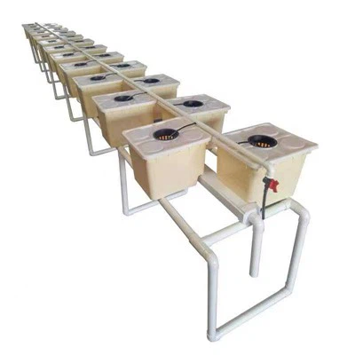 Dutch Bucket Plants Hydroponic Dutch Bøtter Dutch Bucket Hydroponic System